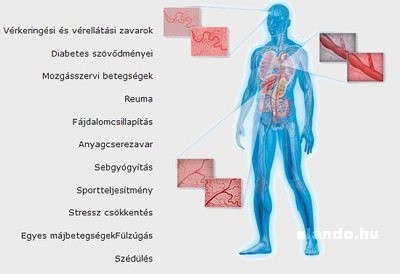 Magneter kezelések biorezonancia.